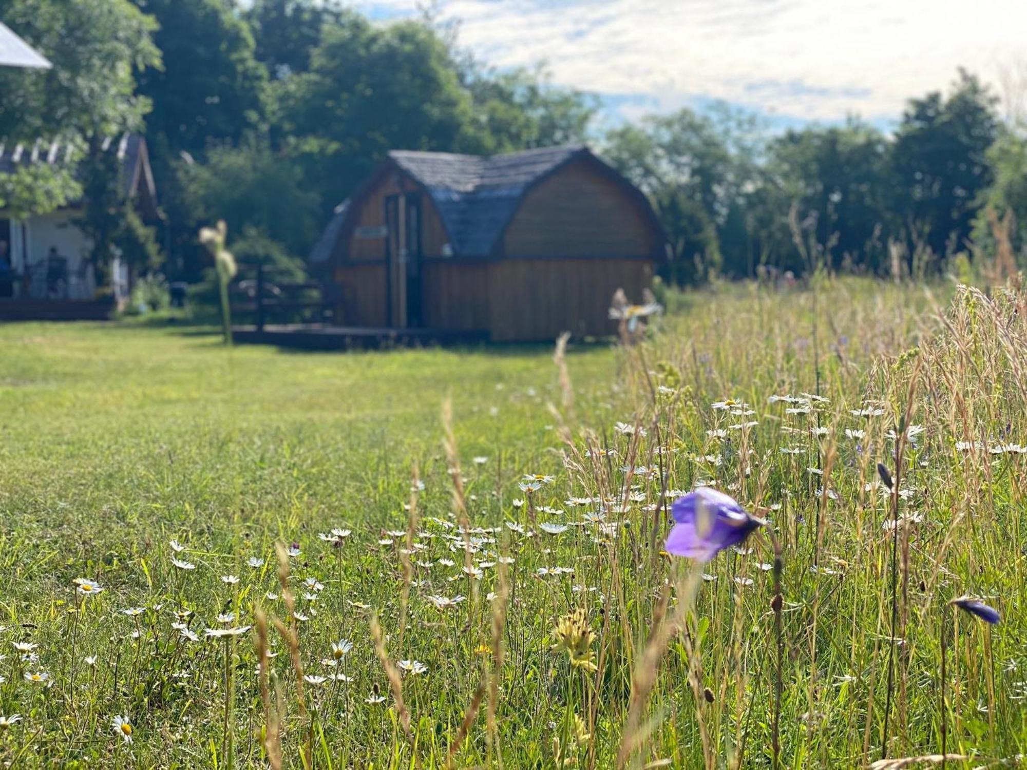 Kaespri Farmstay Koguva Eksteriør bilde